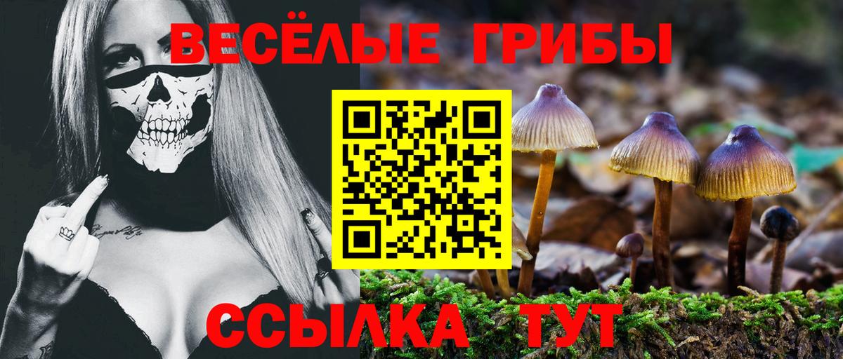 Псилоцибиновые грибы GOLDEN TEACHER Павловский Посад
