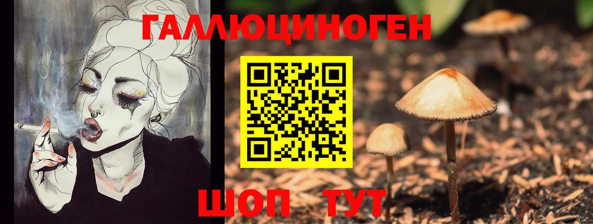 Павловский Посад  Псилоцибиновые грибы GOLDEN TEACHER  продажа наркотиков  Вход с VPN 